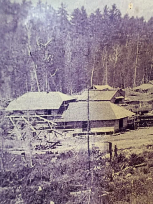 The new hip-roofed depot buildings in a freshly cut clearing with tall pines behind
