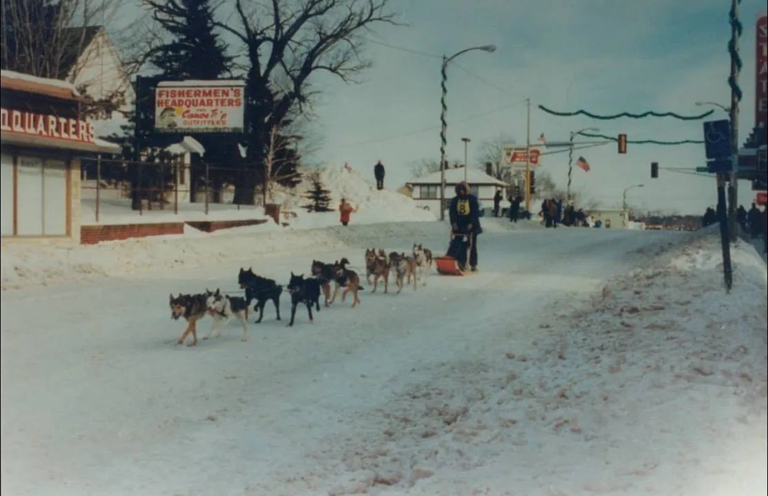 A sled dog team on Sheridan Street
